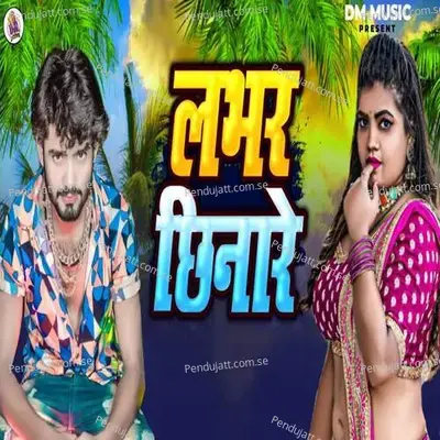 Labhar Chhinaare - Ajeet Premi album cover 