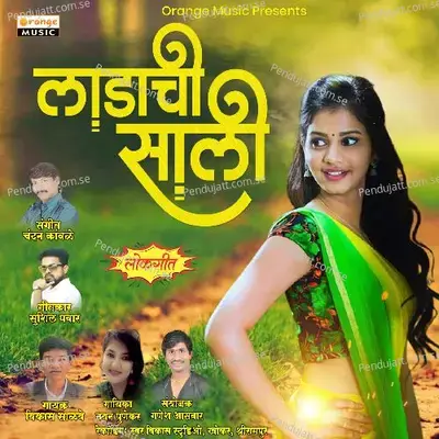 Ladachi Sali - Vikas Salve album cover 