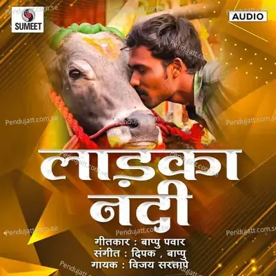 Ladka Nandi - Vijay Sartape album cover 