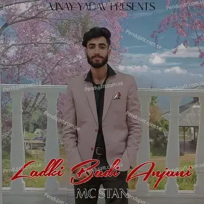 Ladki Badi Anjani - Vinay Yadav album cover 