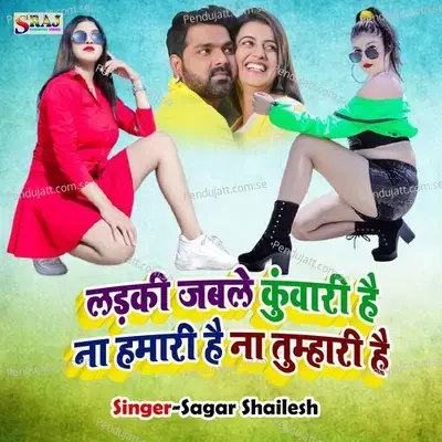 Ladki Jable Kuwari Hai Na Hamari Hai Na Tumhari Hai - Sagar Shelesh album cover 