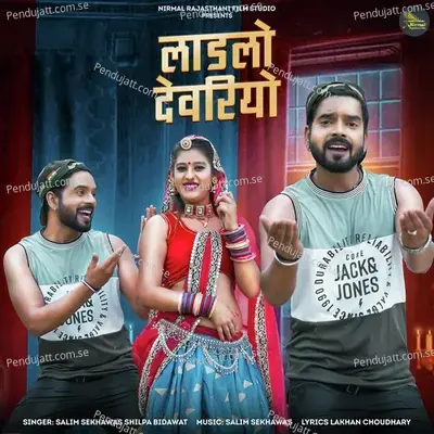 Ladlo Devriyo - Salim Shekhawas album cover 