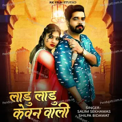 Ladu Ladu Kewan Wali - Salim Shekhawas album cover 
