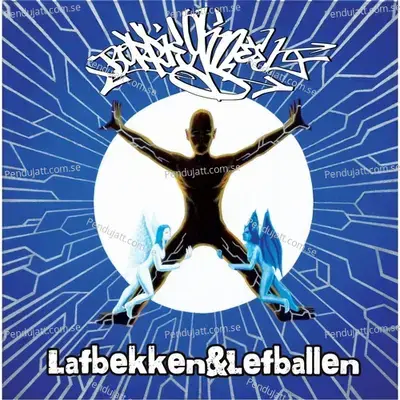 Spiegel In Het Donker - Borriegineel album cover 