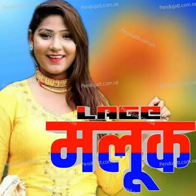 Lage Maluk - Aslam Singer Mewati album cover 