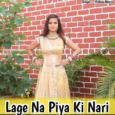 Lage Na Piya Ki Nari - Vishnu Meena album cover 