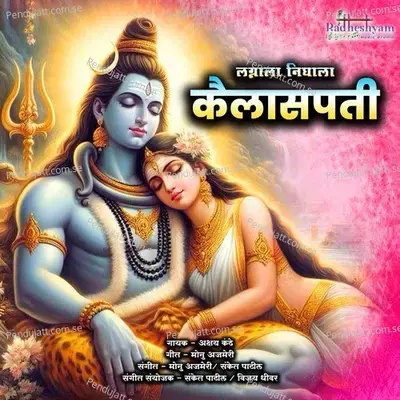 Lagnala Nighala Kailaspati - Sanket Patil album cover 