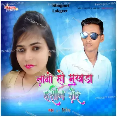 Toy Hamar Dhani - Vivek album cover 