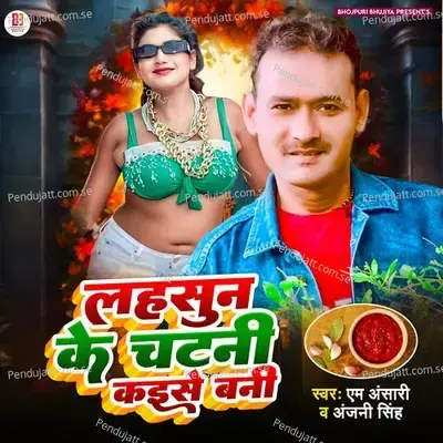 Lahsun Ke Chatni Kaise Bani - AM Ansari album cover 