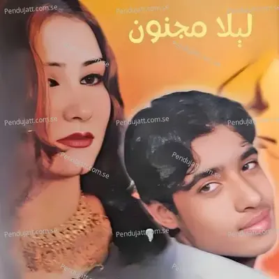 Dwanra Zo Pa Chakar - Hamayoon Angar album cover 