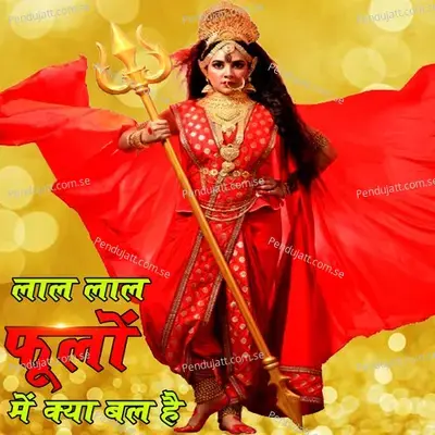 Lal Lal Pholo Mein Kya Bal Hai - Vikash Palwal album cover 