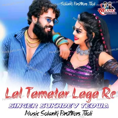 Lal Tamatar Laga Re - Sukhdev Tedwa album cover 