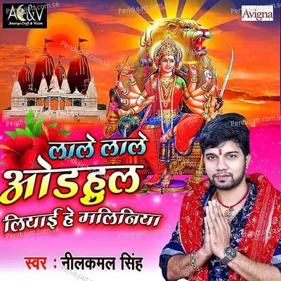 Lale Lale Adhulwa Liyai He Maliniya - Neelkamal Singh album cover 