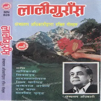 Aankha Bhari Lukai - Daan Prashad Giri album cover 