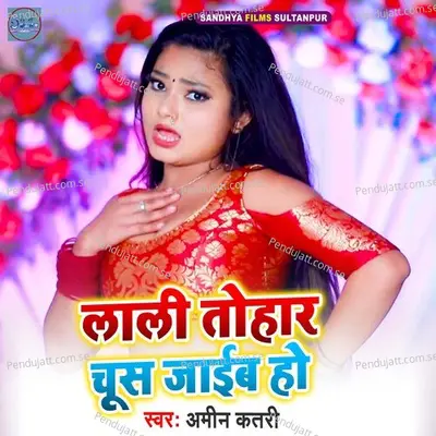 Lali Tohar Chush Jaib Ho - Amin Qatari album cover 