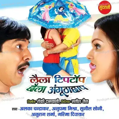 Radhe Ghar Saga  Man Aais - Alka Chandrakar album cover 