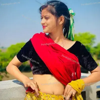 Lamba Bakra Su Kan Ko - Hansraj Gurjar Kalmiya album cover 