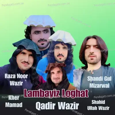 Zargai Mi Tool Zakhmi Dai - Raza Noor Wazir album cover 