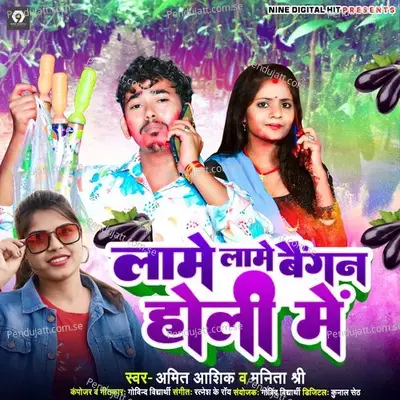 Lame Lame Baigan Holi Me - Amit Ashik album cover 