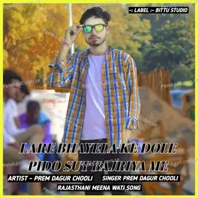 Lare Bhayela Ke Dole Pido Sut Bajriya Me - PREM DAGUR CHOOLI album cover 