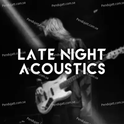 Late Night Acoustics - Various Artists