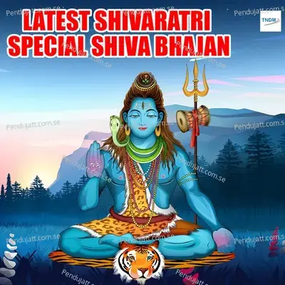 Shiv Chalisa Jyoti - Jyoti Tiwari album cover 