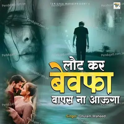 Laut Kar Bewafa Wapas Na Aaunga - Dilbar Meraj album cover 