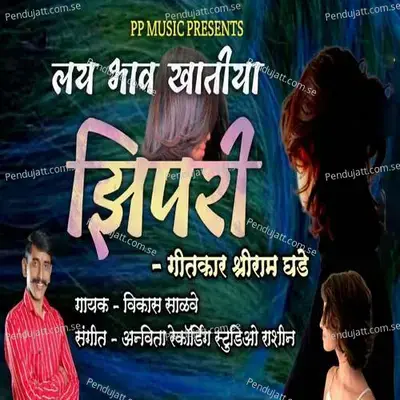 Lay Bhav Khatiya Jhipri - Vikas Salve album cover 