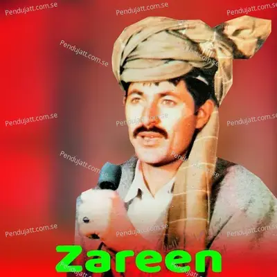 Ka Spina Khula Di Mata Raka - Zareen album cover 