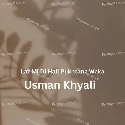 Laz Mi Di Hall Pukhtana Waka - Usman Khyali album cover 