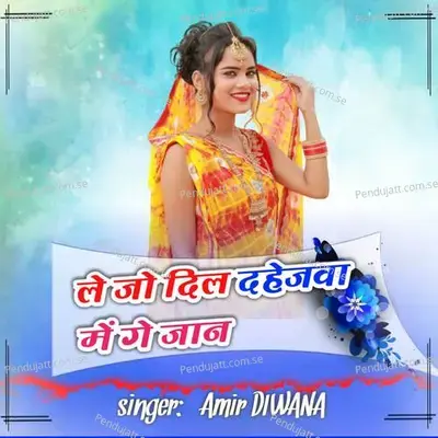 Le Jo Dil Dahejwa Mein Gay Jaan - Amir Diwana album cover 