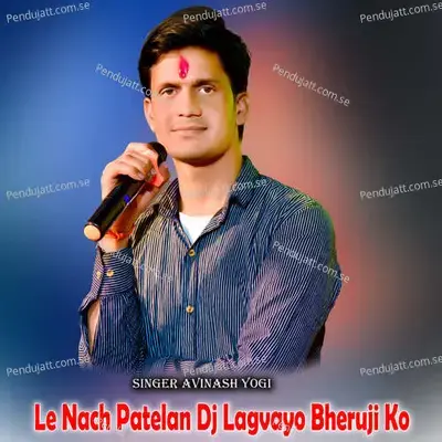 Le Nach Patelan Dj Lagvayo Bheruji Ko - Avinash Yogi