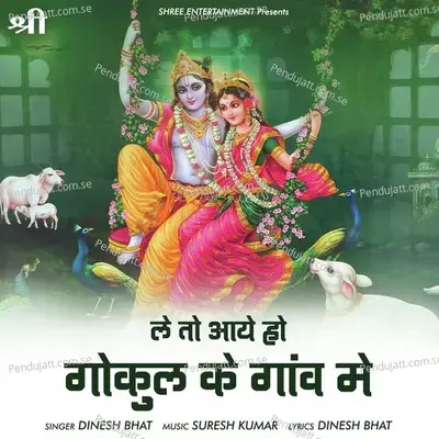 Le To Aaye Ho Gokul Ke Gaw Me - Dinesh Bhat album cover 