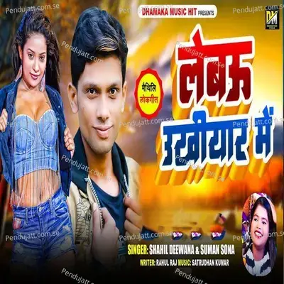 Lebau Ukhiyar Me - Shahil Diwana album cover 