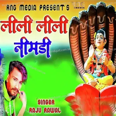 Leeli Leeli Nimdi - Raju Rawal album cover 