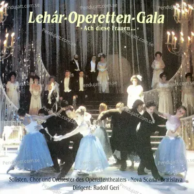 Operetten Gala - Niemand Liebt Dich So Wie Ich - Soloists album cover 