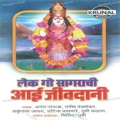 Bag Kasa Dananila - Anant Panchal album cover 