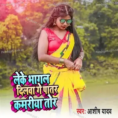 Leke Bhagal Dilwa Ge Patar Kamariya Tor - Aashish Yadav album cover 
