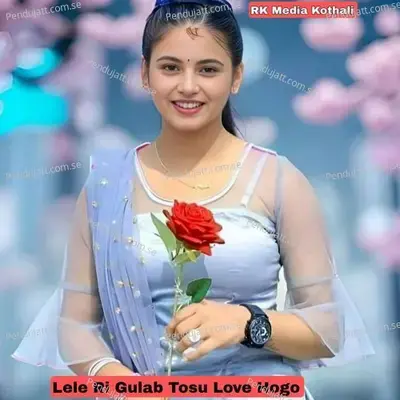 Lele Ri Gulab Tosu Love Hogo - Pn Hadoti album cover 