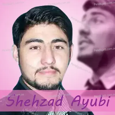 Leman Ma Parishan Wa - Shehzad Ayubi album cover 