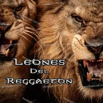 Leones Del Reggeaton - Various Artists cover album