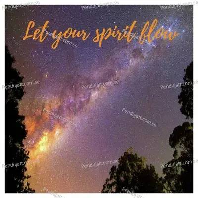 Let Your Spirit Flow - Franko album cover 