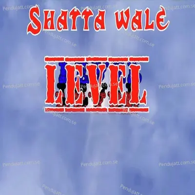 Level - Shatta Wale album cover 