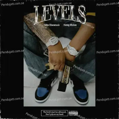 Levels - Sidhu Moose Wala album cover 