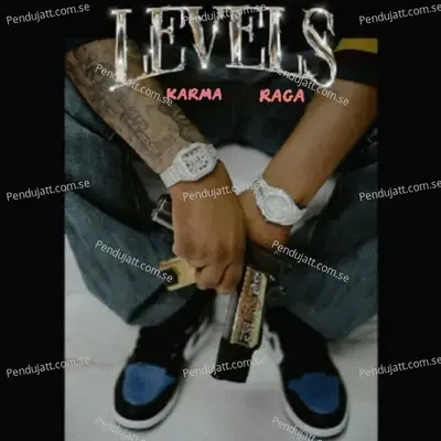 Levels - Karma album cover 