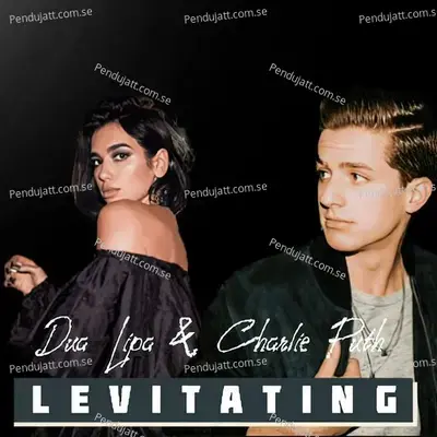 Levitating - Dhewkii album cover 