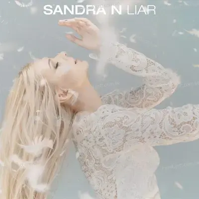 Liar - Sandra N album cover 