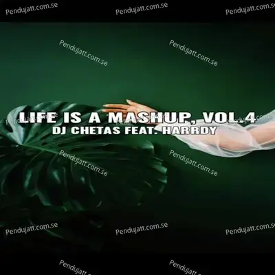 Life Is A Mashup  Vol  4 - Dj Chetas album cover 