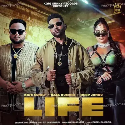 Life - KING SUNNY album cover 