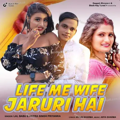 Life Me Wife Jaruri Hai - Lal Babu album cover 